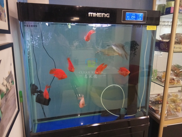 玻璃魚(yú)缸清洗