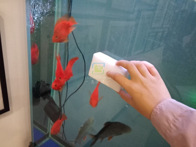 玻璃魚(yú)缸清洗